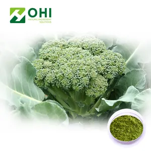 Saf brokoli Sulforaphane özü tozu Brassica oleracea var. italica 98% Betaine susuz Glucoraphanin 0.5% l-sulforaphane