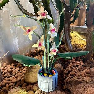 Plástico Lego flor orquídea maceta flor planta modelo Mesa decoración plástico bloques de construcción Juguetes Juegos de bloques de construcción - Product Image 6