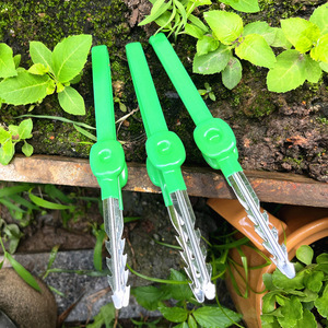 Pince de jardinage en acier inoxydable pour la maison, idéale pour le désherbage, la cueillette de semis et la préparation de graines, pour la plantation de légumes et de fleurs - Product Image 6