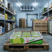 Caisse d'emballage en PP premium pour melons cantaloupes 4mm 600x400x300mm, service de découpe disponible pour la vente en gros, OEM ODM disponible