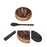100% Bol en coquille de noix de coco naturelle Bol CoCo pour la nourriture