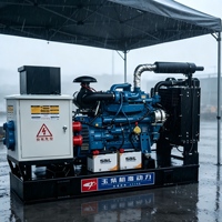 Générateur diesel Yuchai de type ouvert 24kW-200kW, triphasé, groupe électrogène industriel avec ATS