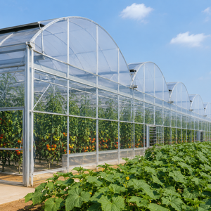 Serre en film plastique commercial avec système de ventilation, de refroidissement et d'ombrage pour les projets modernes d'agriculture maraîchère - Product Image 3