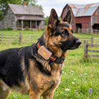 Collier GPS intelligent pour animaux de compagnie avec étanchéité IP67, suivi en temps réel, localisateur anti-perte pour chiens et chats