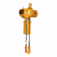 Pengoperasian Nirkabel yang Mudah, Pengangkatan Stabil, CE 380V 415V Kecepatan Ganda 3 Ton Electric Chain Hoist untuk Penanganan Kargo Garasi dan Pelabuhan
