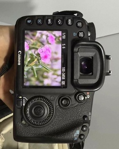 Appareil photo numérique reflex professionnel <span class=keywords><strong>Canon</strong></span> EOS <span class=keywords><strong>7D</strong></span> Mark II (95 % <span class=keywords><strong>neuf</strong></span>) avec objectif 18-135 mm, format APS-C, vidéo Full HD et batterie au lithium – Vente en gros - Product Image 5
