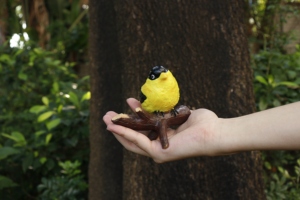 Estatua de pájaro <span class=keywords><strong>amarillo</strong></span> realista en Rama-Decoración de jardín al aire libre de resina, Patio resistente a la intemperie y adorno de césped - Product Image 6
