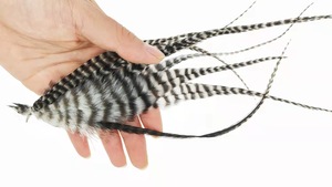 Plumas naturales de gallo Grizzly para atado de moscas, material DIY para streamers, <span class=keywords><strong>ninfas</strong></span> y moscas húmedas, 10 unidades/bolsa - Product Image 5