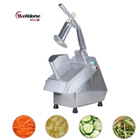 Machine à légumes et fruits multifonctionnelle motorisée de haute qualité, marque WELLDONE, garantie 1 an, 1000W, aluminium argenté de luxe