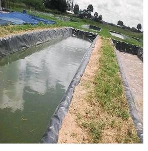 Revêtement d'étang de ferme de poissons de 0.5mm, géomembranas étanches de 0.75mm, fabricant de revêtement HDPE - Product Image 1