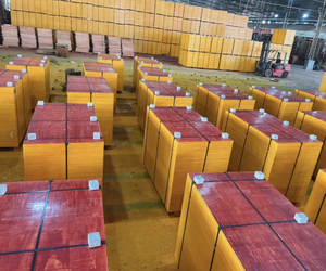 Ván ép keo Phenolic dày 18mm cho ván khuôn xây dựng bê tông ngoài trời - Product Image 5