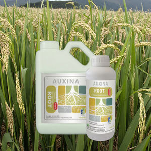 תשואה שדה פאדי נוזלי-הגדלת דשן עם חומצות אמינו מקדם צמיחת השורש מגביר את התשואה וזרבות דגנים - Product Image 5