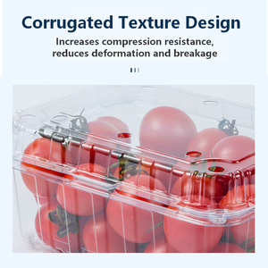 Recipiente de Alimentos Transparente em Plástico <span class=keywords><strong>PET</strong></span> Descartável e Ecológico, Personalizável para Animais de Estimação e Frutas/Verduras - Product Image 3