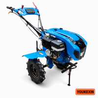 Tractor Agrícola Diésel de Transmisión Directa Ykx Factory con Bloqueo de Diferencial de Eje Reforzado, Marca Personalizada para Proveedores de Oro de Oriente Medio