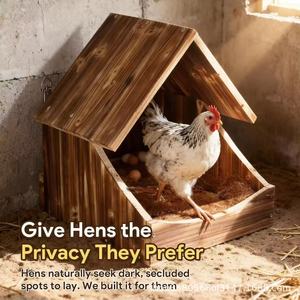 Nichoirs en bois pour poulailler, en bois massif, écologiques, habitat pour volailles avec isolation naturelle et fabrication soignée - Product Image 5