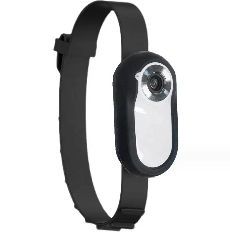 Оптовая Продажа с фабрики HD 1080 P Pet спортивный ошейник мини Магнитная Экшн-камера для записи видео уличная безопасная Беспроводная камера для домашних животных