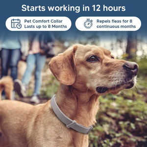 Nouveau collier anti-puces et <span class=keywords><strong>tiques</strong></span> 2026 pour chiens de plus de 8 kg – Traitement et prévention, <span class=keywords><strong>protection</strong></span> de 8 mois recommandée par les vétérinaires pour chiens et chats - Product Image 4