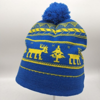 Chapeau d'hiver en tricot en gros avec étiquette tissée personnalisée, bonnet en tricot, broderie plate avec pompon en fourrure