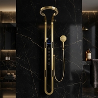 Offre Spéciale mural LED salle de bain Spa ensemble douche à cascade multifonctionnelle avec finition brossée pour hôtels