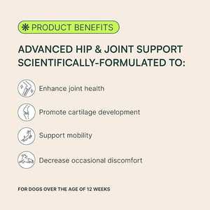 OEM 자체 브랜드 강아지 관절 소프트츄 힙&관절 지원 보조제 통증 및 염증 감소, 강아지의 이동성 향상 - Product Image 6
