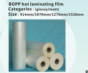 Automatic <b>Large</b> Format Flatbed Applicator Laminator Machine for Sale - Product Image 4