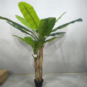 Offre Spéciale d'usine à <span class=keywords><strong>prix</strong></span> raisonnable Vente <span class=keywords><strong>en</strong></span> gros <span class=keywords><strong>Bananier</strong></span> artificiel <span class=keywords><strong>en</strong></span> <span class=keywords><strong>pot</strong></span> à haute simulation de Chine pour la décoration intérieure moderne - Product Image 2