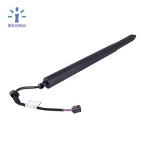 Amortisseur de hayon en acier inoxydable PEIVSO, performance stable et fiable, pour Hyundai PALISADE 2020-2022 RH OEM 81841S8100 IATF16949 - Product Image 1