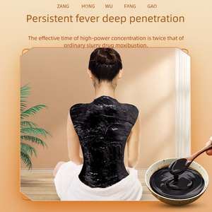 Thérapie à la boue chinoise à base de plantes pour la médecine traditionnelle chinoise et la physiothérapie moderne - Product Image 2