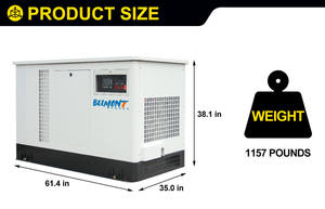 Generador Eléctrico de 30KW para el Hogar BPD30REG - Product Image 5