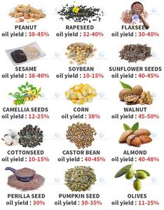 Machine de pressage d'huile de tournesol grande capacité, Machine d'extraction d'huile d'arachide de soja - Product Image 2