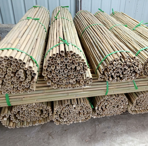 Vente en gros directe 20GP conteneur Tonkin cannes et poteaux en bambou 60cm-500cm fournitures de jardin 2025 - Product Image 2