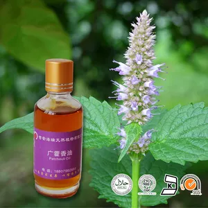 Fornitura di fabbrica di olio essenziale di Patchouli naturale di qualità per uso alimentare aromaterapia olio di Patchouli