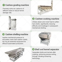 Ligne de production complète de traitement des noix de cajou en Chine, tri, récolte, traitement des noix, machine à décortiquer