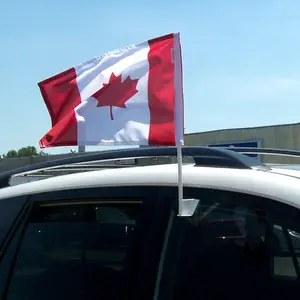 Custom Double Sided Plastic Pole Wholesale Car Window Flag World Flag