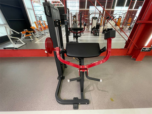 Machine professionnelle <span class=keywords><strong>de</strong></span> courbure <span class=keywords><strong>de</strong></span> biceps OEM couleur équipement d'entraînement sportif commercial chargeur moyen carrossage en acier/courbure <span class=keywords><strong>de</strong></span> <span class=keywords><strong>bras</strong></span> <span class=keywords><strong>pour</strong></span> <span class=keywords><strong>les</strong></span> gymnases - Product Image 2