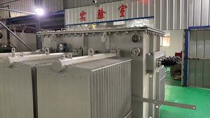 Transformateur immergé dans l'huile 3 phases 6kv 10kv 25 kv 125kva 160kva 200kva 250kva 315kva 20kv transformateur de puissance immergé dans l'huile prix - Product Image 6