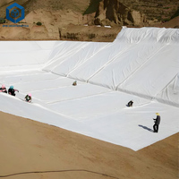 Tissu géotextile non tissé blanc, couche de séparation, tissu filtrant en PP, fournisseurs de toile paysagère