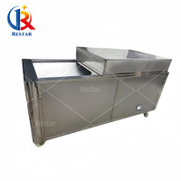 Elektrische Kersen Pitter Stoner Industriële Jujube Core Separator Dadels Kersen Ontpit Machine Olijf Putmachine