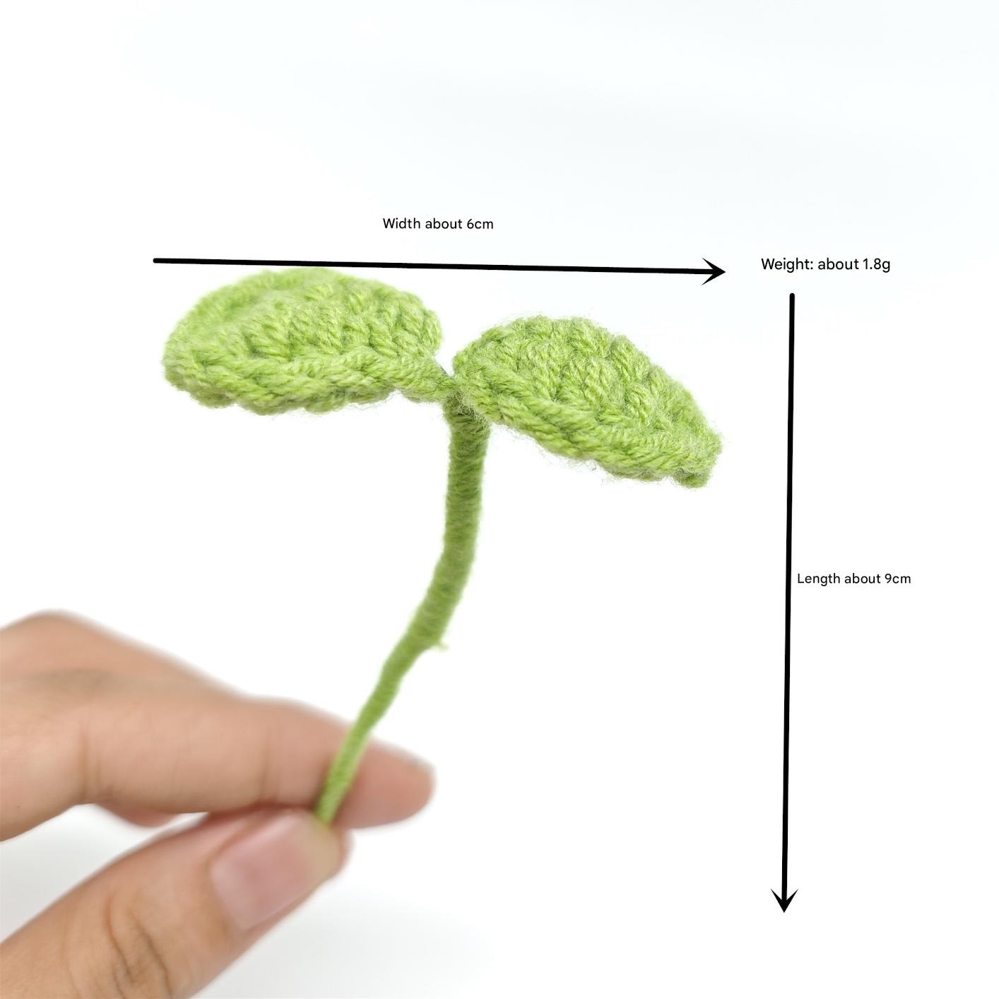 Pousses de haricot mungo vert