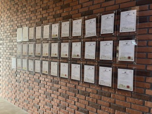 Ding Rick tone hhhite nd Ed Ding iding aux rtifcial aux Rick tone tono ladding olyolymel-all ananel Pight ight eight Garden Anel - Product Image 2