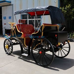 New Cars Black with Red Seats Sightseeing Electric Horse Carriage for Sale Tourism Carriage Customizable Special Transportation - Product Image 6