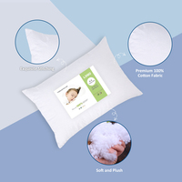 Oreiller pour enfants Pattex 13x18 pouces, doux, 100% coton, certifié OEKO-TEX, écologique, biologique, multifonctionnel, blanc nacré