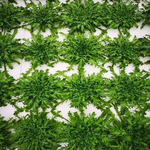 Số lượng lớn EPS hộp xốp chèn đóng gói bọt đệm và chống sốc bao bì QH mô hình thương hiệu QH-7 - Product Image 4