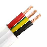 Kabel RVV Pipih Inti Tembaga Terlilit 2/3 Inti 0.5mm 300/500V Berlapis PVC Tipis Fleksibel untuk Pemanas Kabel Tersembunyi Furnitur/Lemari