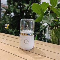 Offre Spéciale Mini USB rechargeable sans fil électrique hachoir à chili hachoir à ail portable pour la cuisine