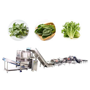 Lini Pengolahan Pisang Industri untuk Pabrik Komersial - Product Image 1