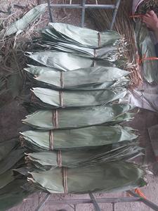 ใบไผ่แห้งสีเขียวธรรมชาติ ใบเต็ม สำหรับทำขนมจงซี ข้าวเหนียว ต้นกำเนิดจากเวียดนาม ความยาว 28-45 ซม. - Product Image 3