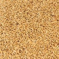 Mélange de graines de tournesol de petite taille pour millet d'alpiste en vrac