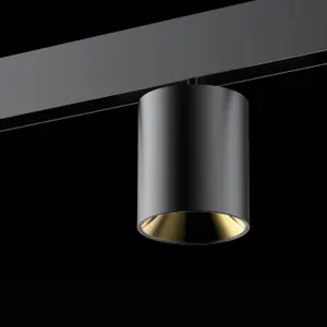 ECOJAS Pendentif-R 8W dimmable basse tension magnétique a mené la lumière de voie