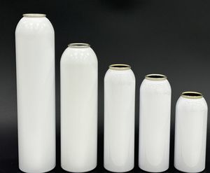 <span class=keywords><strong>Bouteille</strong></span> personnalisée vide de haute qualité de 300ml Produit cosmétique écologique Bidon aérosol en aluminium - Product Image 1